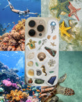 Ocean Treasure